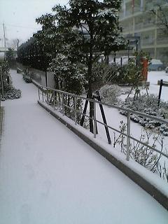 c0073649_9492886.jpg