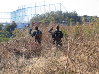 f0000350_03726.jpg