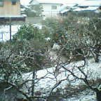 e0028058_104108.jpg