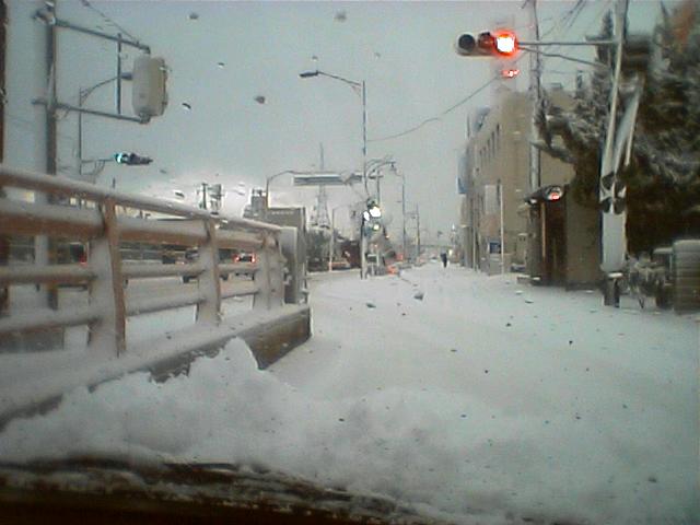 c0034859_982320.jpg