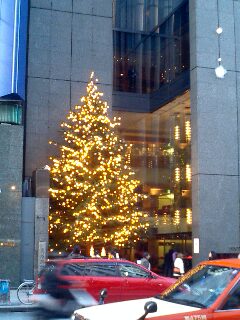 e0091863_13153780.jpg
