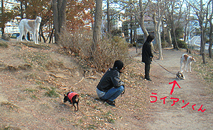 c0012571_134682.gif