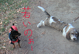 c0012571_136095.gif
