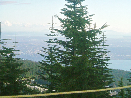 b0061572_1035841.jpg