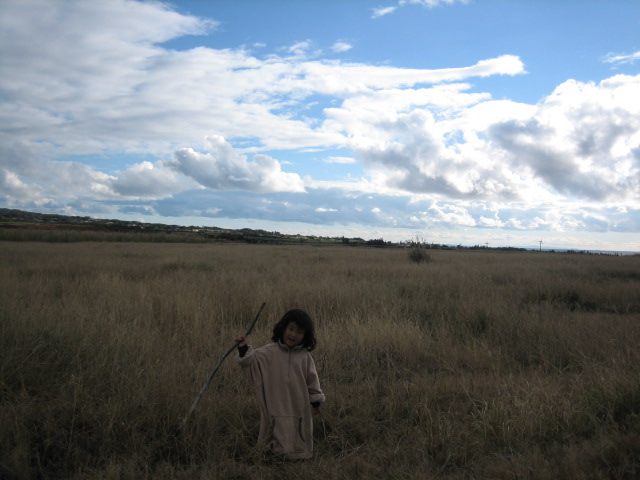 d0007673_10432927.jpg