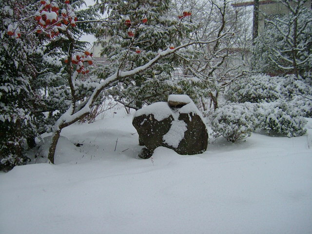 e0088074_21532445.jpg