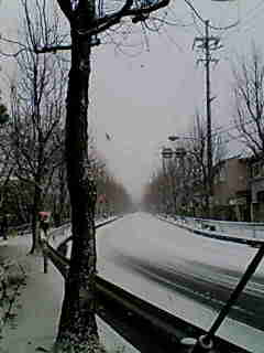 f0008085_14285913.jpg