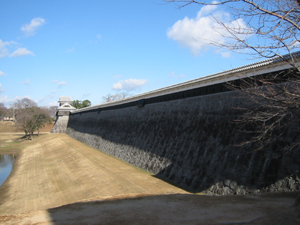 a0050192_2374820.jpg