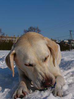 a0039299_20111271.jpg