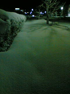f0022707_022258.jpg