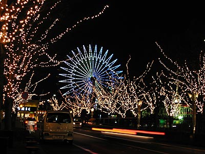 a0041508_1251283.jpg