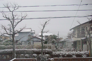 a0055913_21523073.jpg
