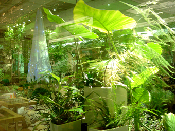 d0063314_21594443.jpg