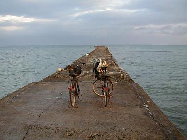 d0042715_141159.jpg