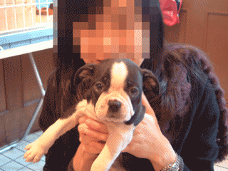 e0080117_18443390.gif