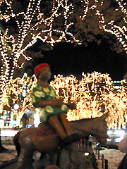 c0003752_23938100.jpg