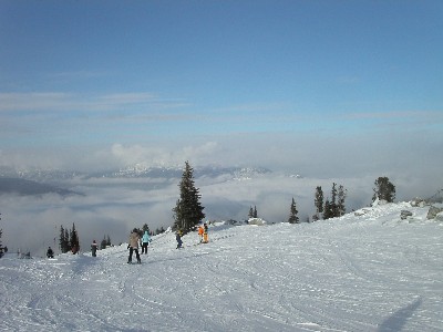f0002265_84642.jpg