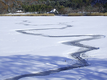 f0000767_13132963.jpg