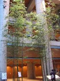 c0023172_22274568.jpg