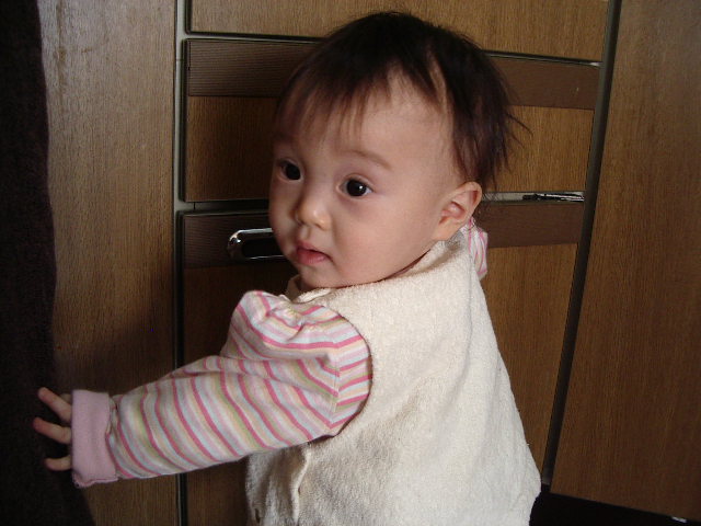 e0089272_15244842.jpg
