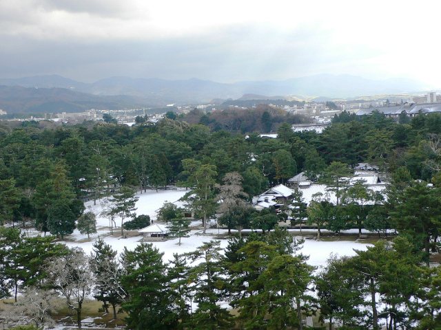 d0042474_0533220.jpg
