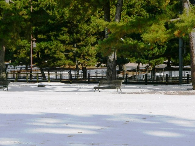d0042474_101712.jpg
