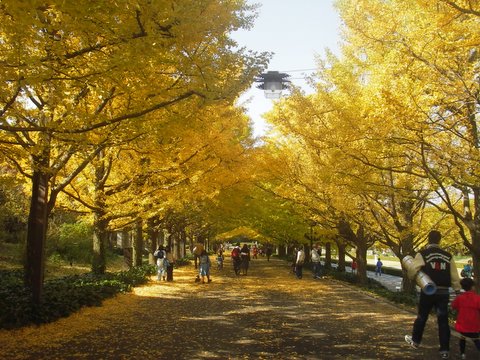 a0043982_0451998.jpg