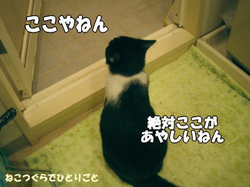 b0041182_004729.jpg