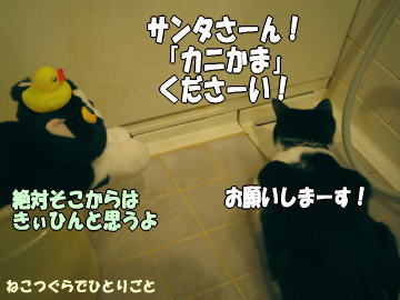 b0041182_012776.jpg