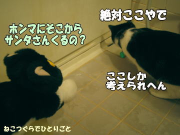 b0041182_031333.jpg