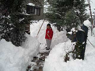c0045882_140499.jpg