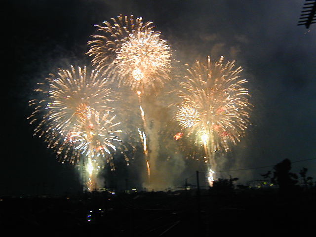 a0008885_049035.jpg