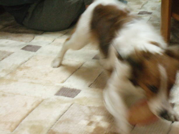 c0075585_23535262.jpg