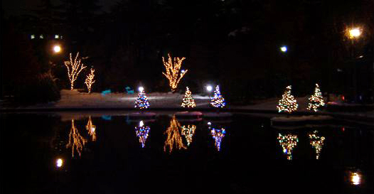 c0011009_1354494.jpg