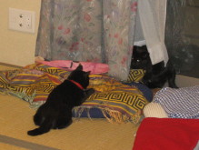 c0004211_06943.jpg