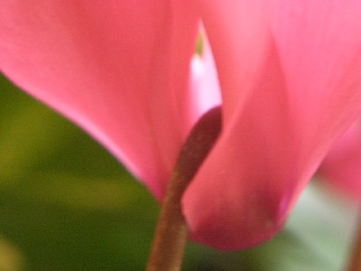 c0042418_18571128.jpg