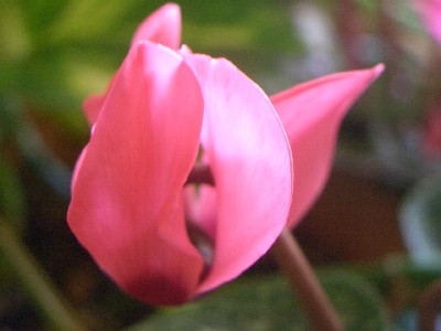 c0042418_1985830.jpg