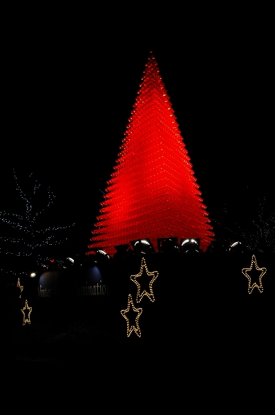 c0027027_0153461.jpg