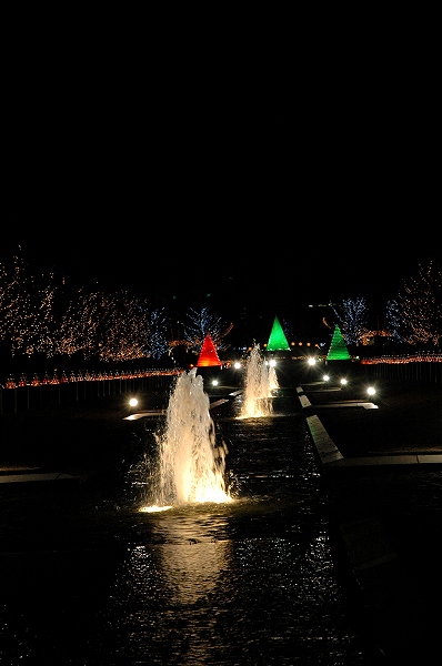 c0027027_16332131.jpg