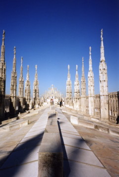 f0017238_08335.jpg