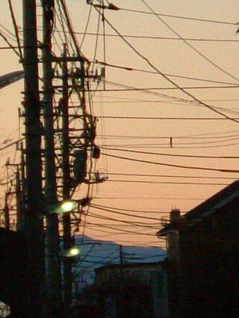 d0009945_20535322.jpg