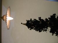 e0076145_1531382.jpg