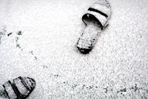 e0009049_1348912.gif