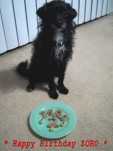 b0035453_1415610.gif