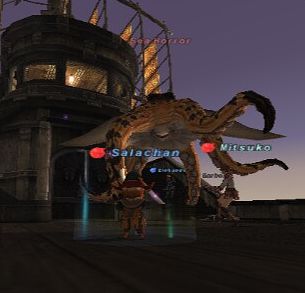 e0012954_17355371.jpg