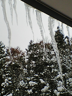 a0040858_054035.jpg