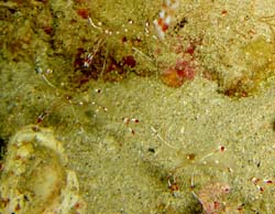 b0062363_1926095.jpg