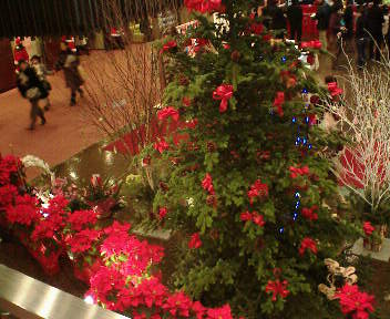b0009665_2131439.jpg