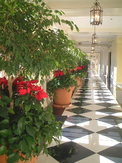 b0001284_091034.jpg