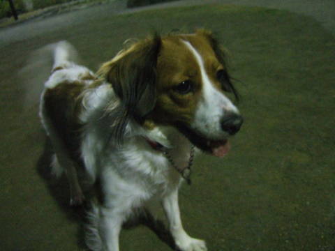 c0075585_0204667.jpg